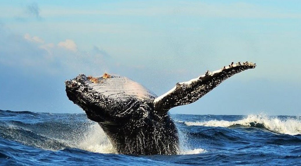 New Brighton Beach, , South Africa